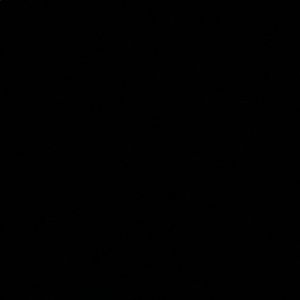 Meet your Posher, Maya